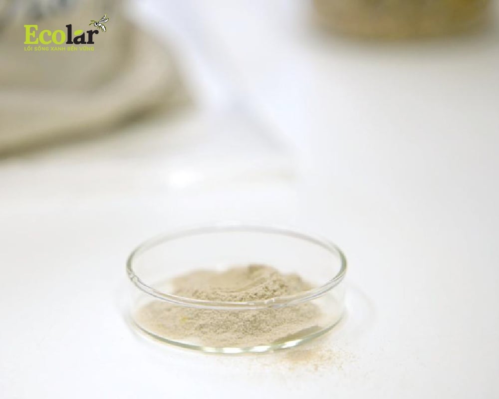 Ấu Trùng Ruồi Lính Đen Tạo Nguồn Chitosan, Dầu Và Chất Chiết Xuất Sinh Học