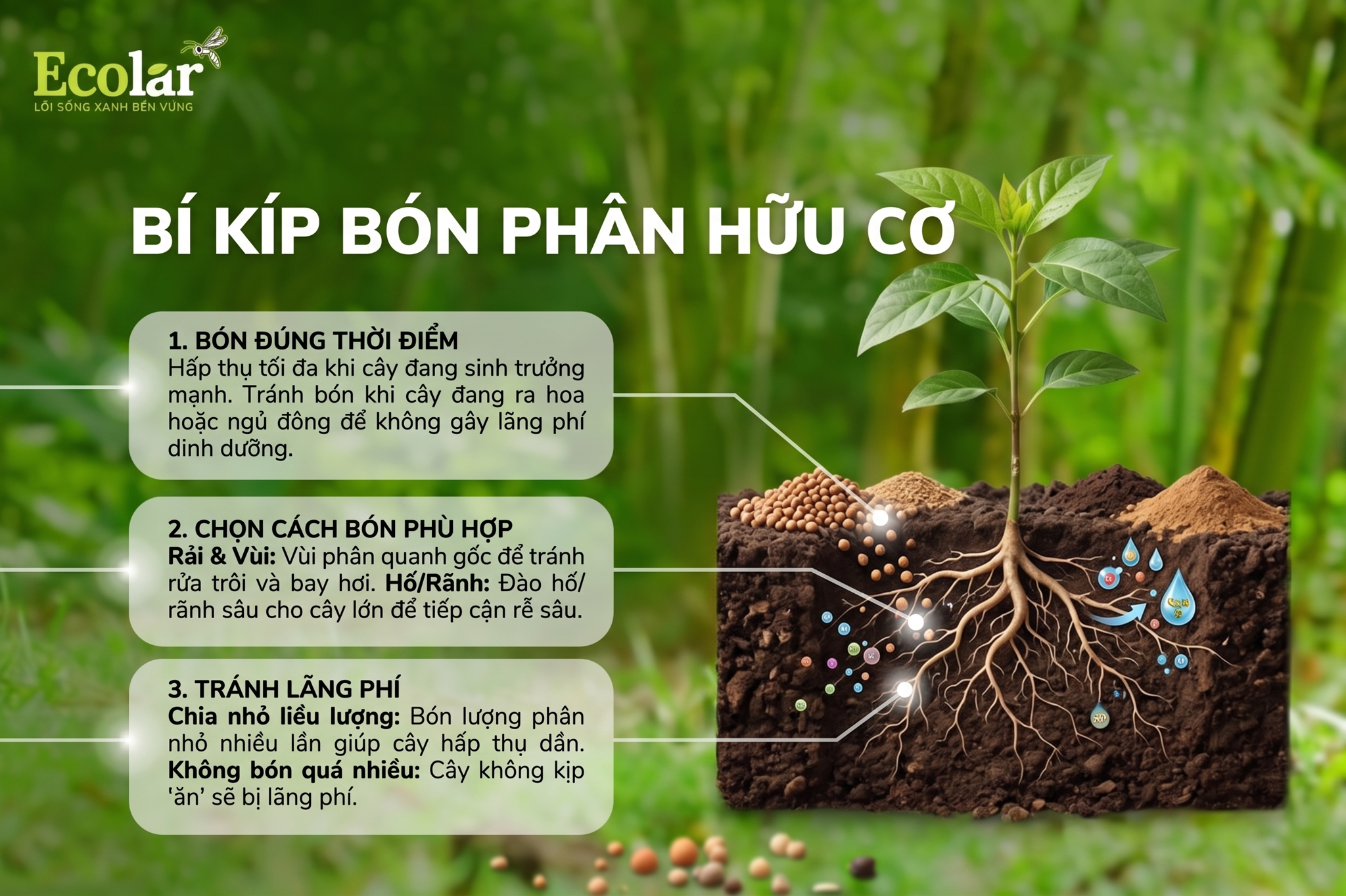 Bí Kíp Bón Phân Hữu Cơ Để Cây 'Ăn' Hết, Không Lãng Phí