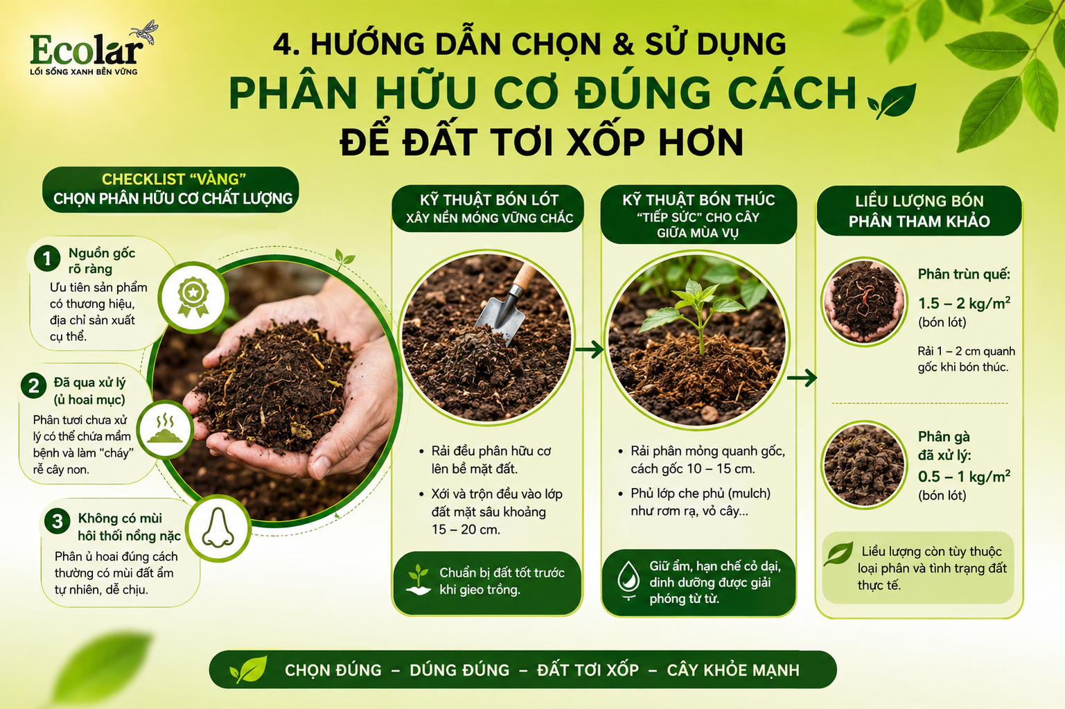Hướng Dẫn Chọn & Sử Dụng Phân Hữu Cơ Đúng Cách Để Đất Tơi Xốp Hơn