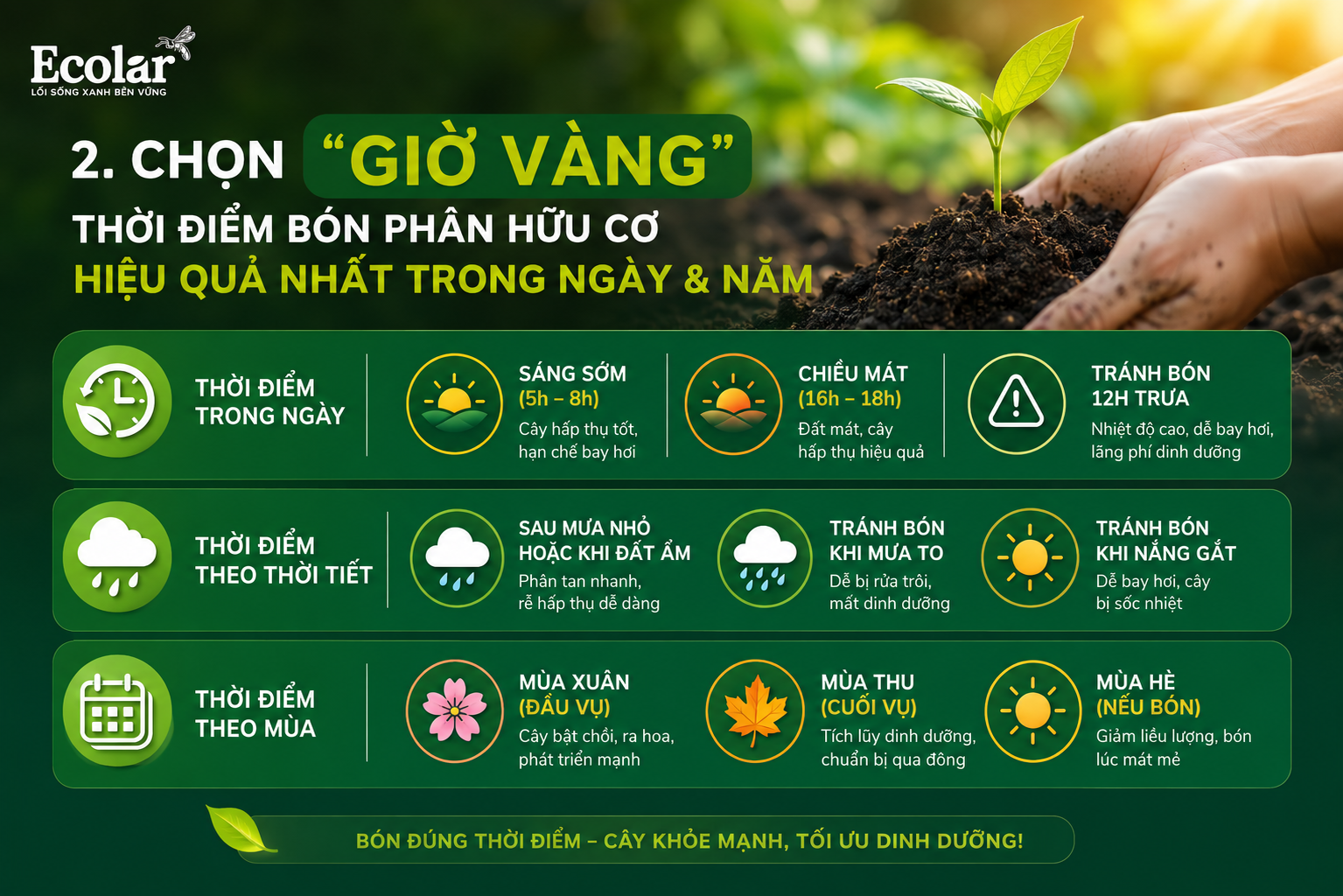 Chọn 