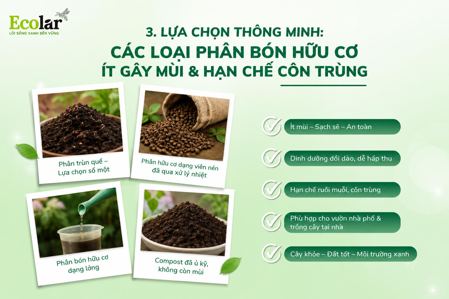 Lựa Chọn Thông Minh: Các Loại Phân Bón Hữu Cơ Ít Gây Mùi & Hạn Chế Côn Trùng