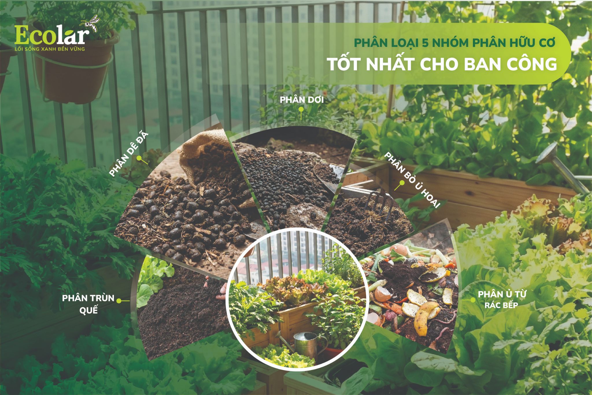 PHAN-LOAI-5-NHOM-PHAN-HUU-CO-TOT-NHAT-CHO-BAN-CONG-02