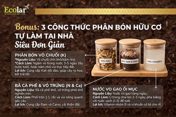 Bonus: 3 Công Thức Phân Bón Hữu Cơ Tự Làm Tại Nhà Siêu Đơn Giản