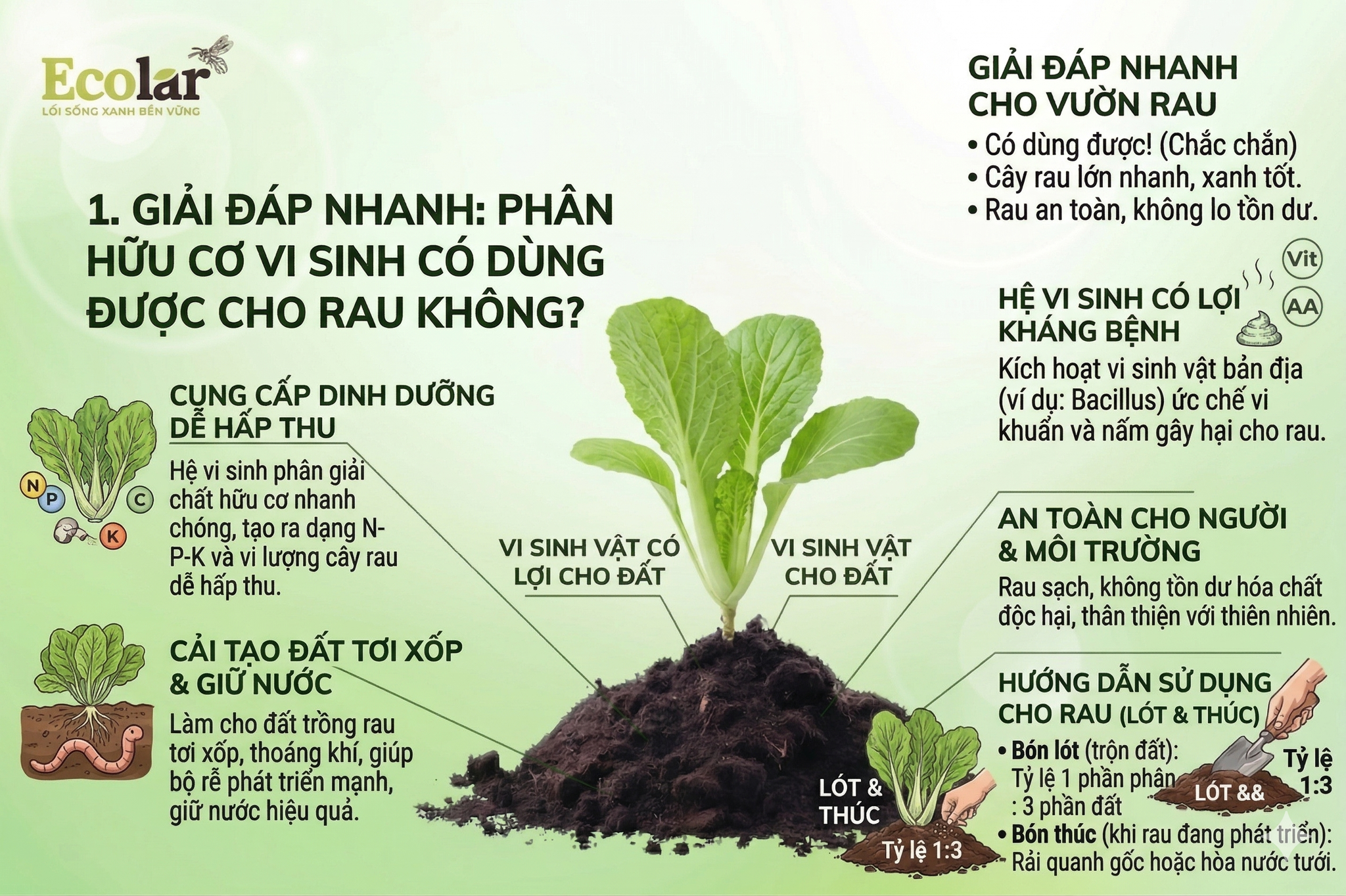 Phân Hữu Cơ Vi Sinh CÓ DÙNG ĐƯỢC CHO RAU KHÔNG?