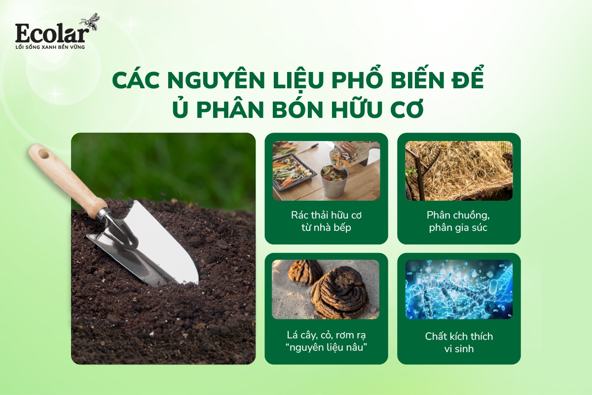n-lieu-pho-bien-de-u-phan-bon-huu-co-_f98df619e7ed46cc82c4d77559f6f55c.jpg