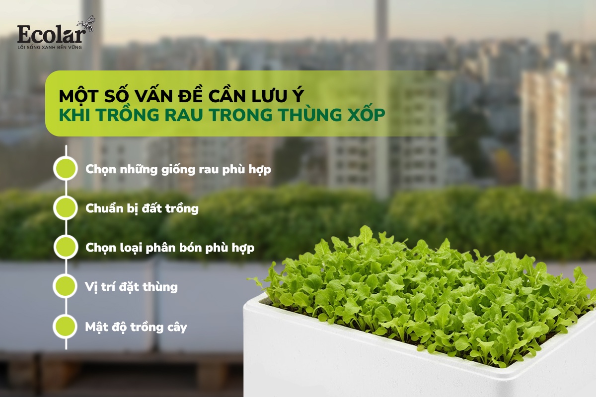 một số vẫn đề lưu ý
