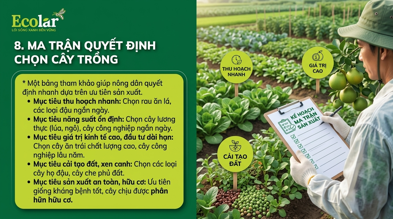 Ma trận quyết định nhanh: chọn nhóm cây dựa theo mục tiêu sản xuất