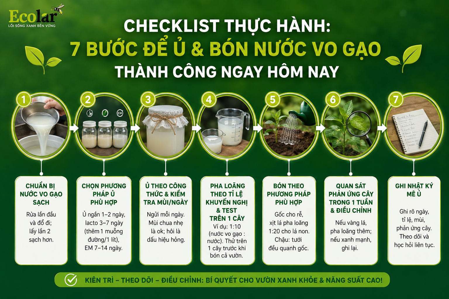 Checklist thực hành: 7 bước để ủ và bón nước vo gạo thành công ngay hôm nay