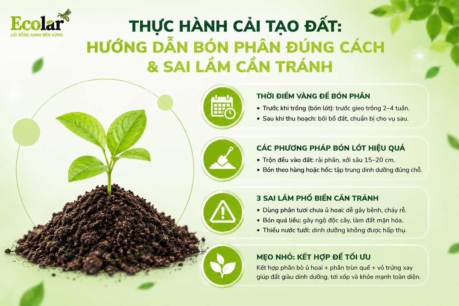 Thực Hành Cải Tạo Đất: Hướng Dẫn Bón Phân Đúng Cách & Sai Lầm Cần Tránh