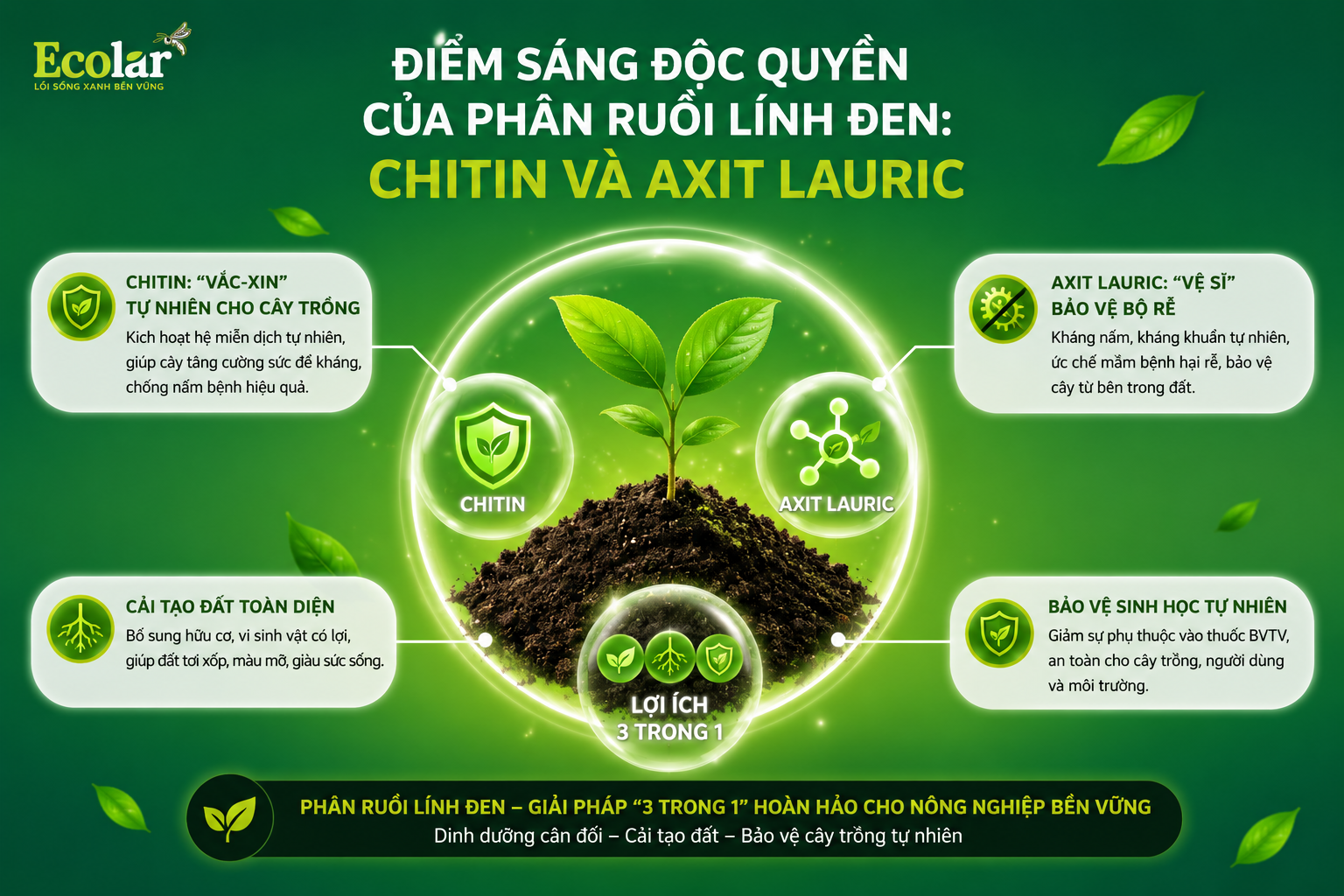 Điểm Sáng Độc Quyền Của Phân Ruồi Lính Đen: Chitin Và Axit Lauric