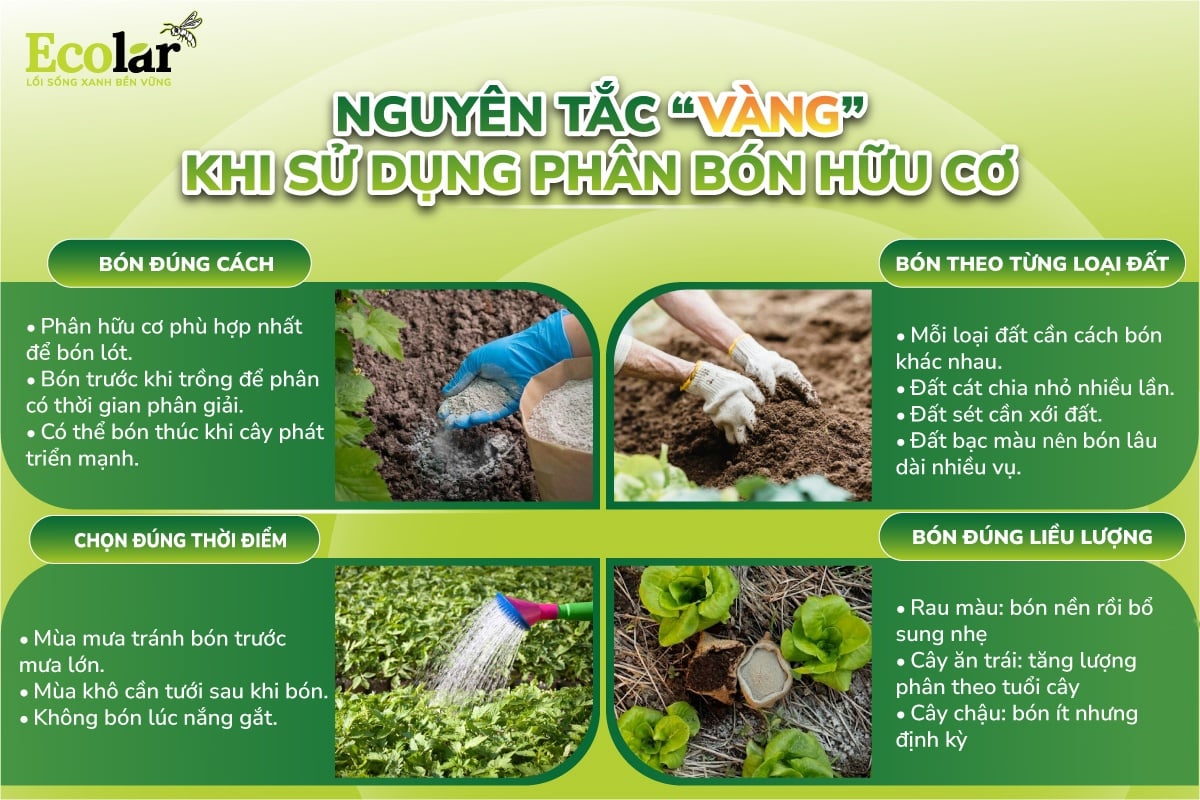 nguyên tác sử dụng phân bón hữu cơ