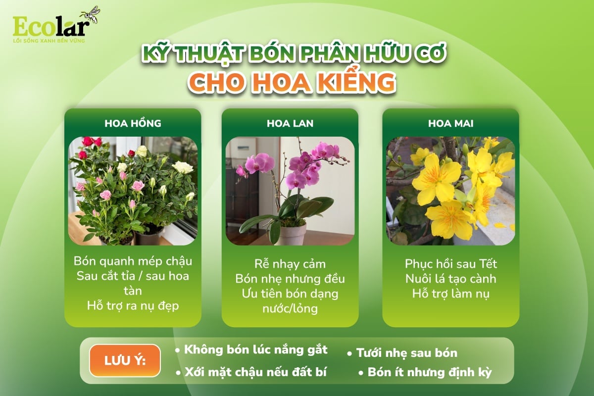 sử dụng phân bón hữu cơ cho hoa kiểng