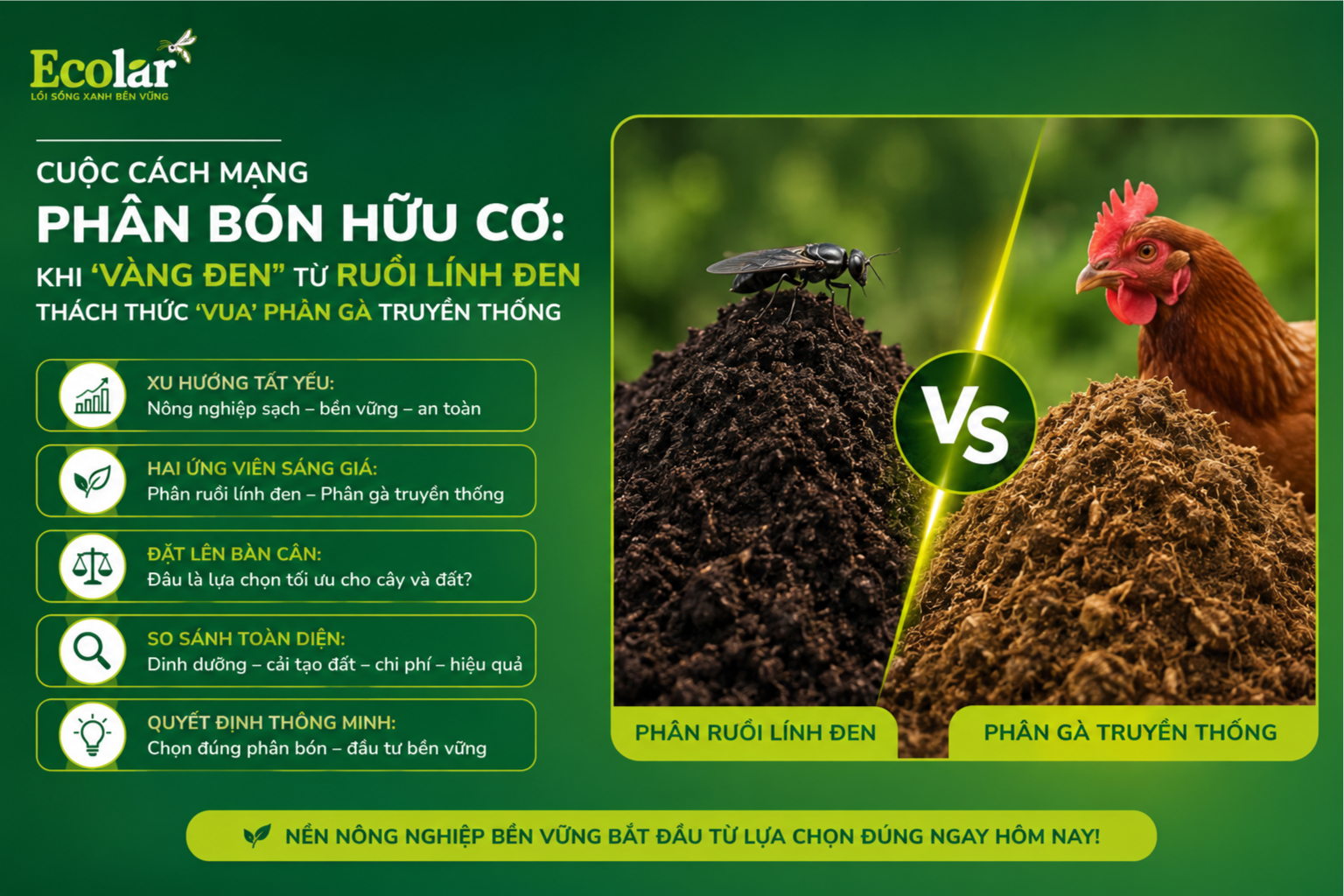 Cuộc Cách Mạng Phân Bón Hữu Cơ: Khi 'Vàng Đen' Từ Ruồi Lính Đen Thách Thức 'Vua' Phân Gà Truyền Thống