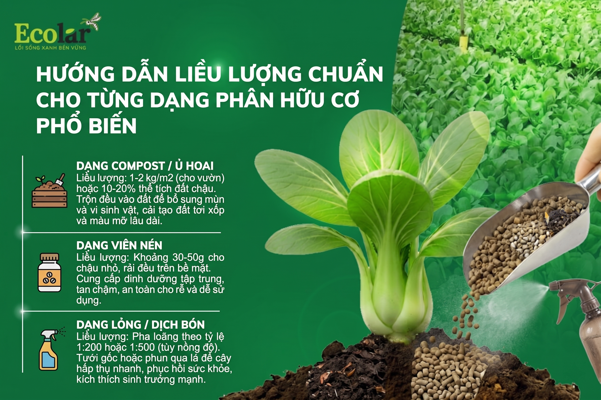 Hướng Dẫn Liều Lượng Chuẩn Theo Từng Dạng Phân Hữu Cơ Phổ Biến