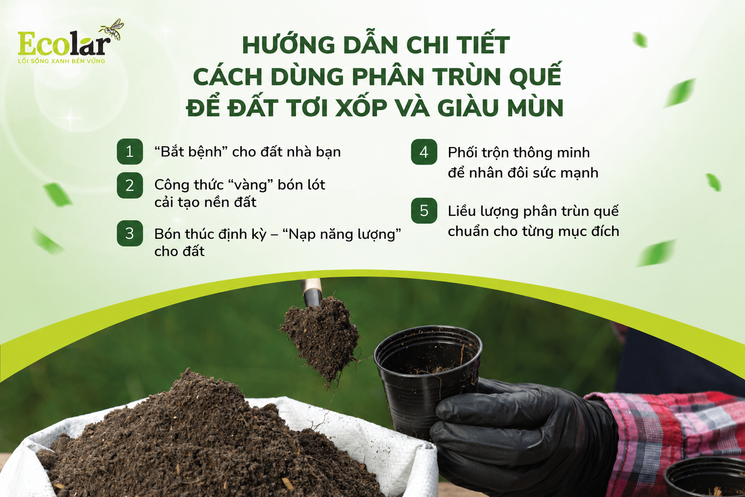 Hướng Dẫn Chi Tiết Cách Dùng Phân Trùn Quế Để Đất Tơi Xốp Và Giàu Mùn