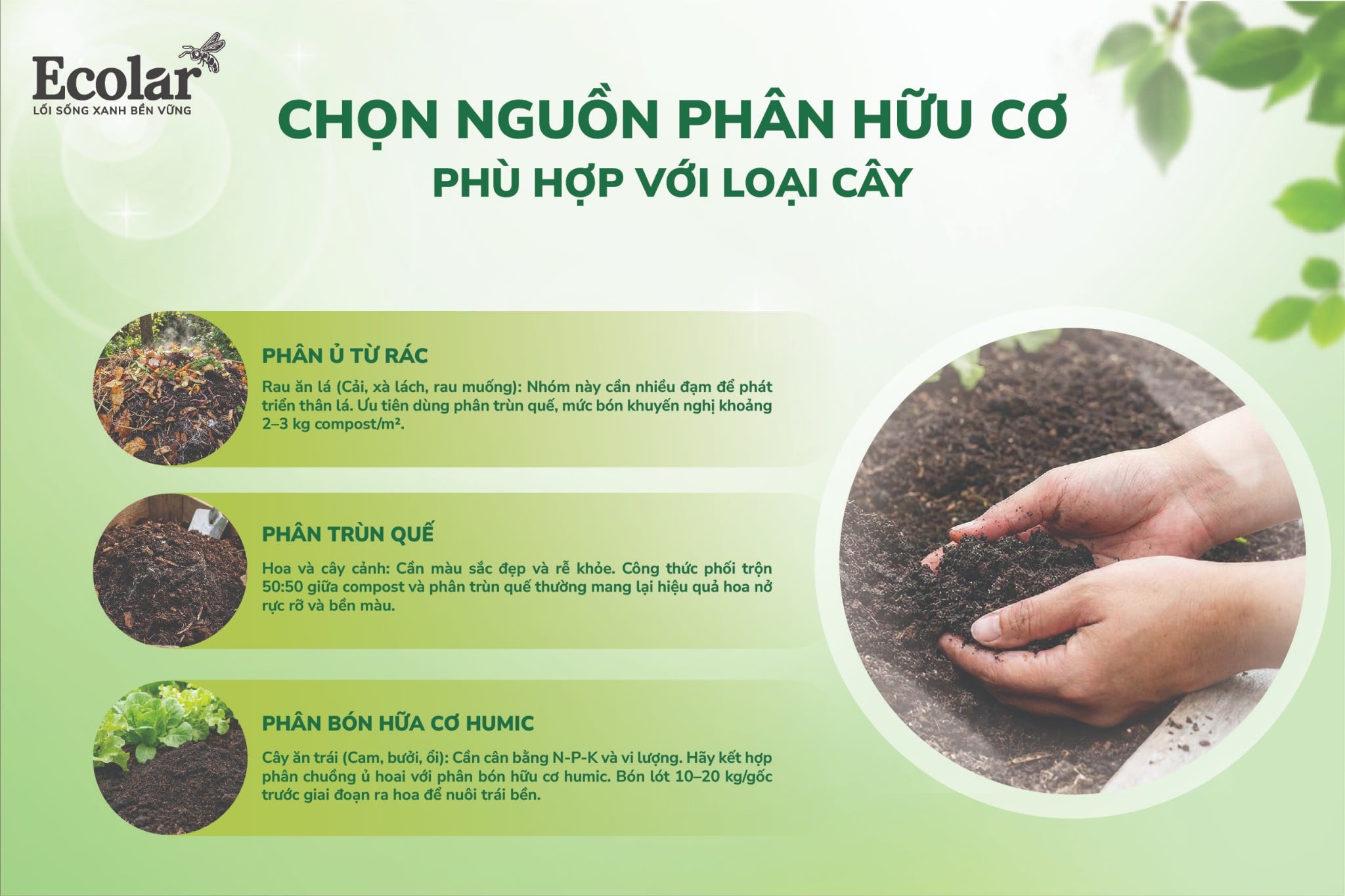 CHON-NGUON PHAN-HUU-CO PHU-HOP VOI-LOAI-CAY-02
