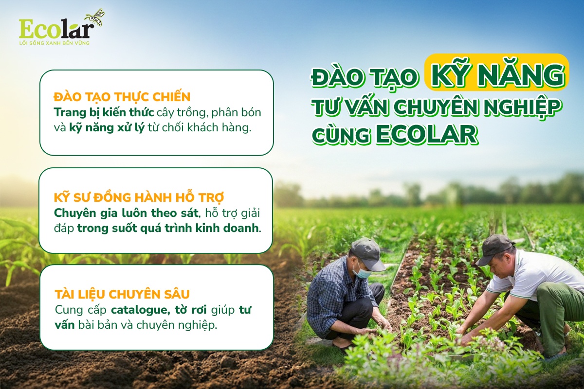 đào tạo kỹ năng cùng ecolar