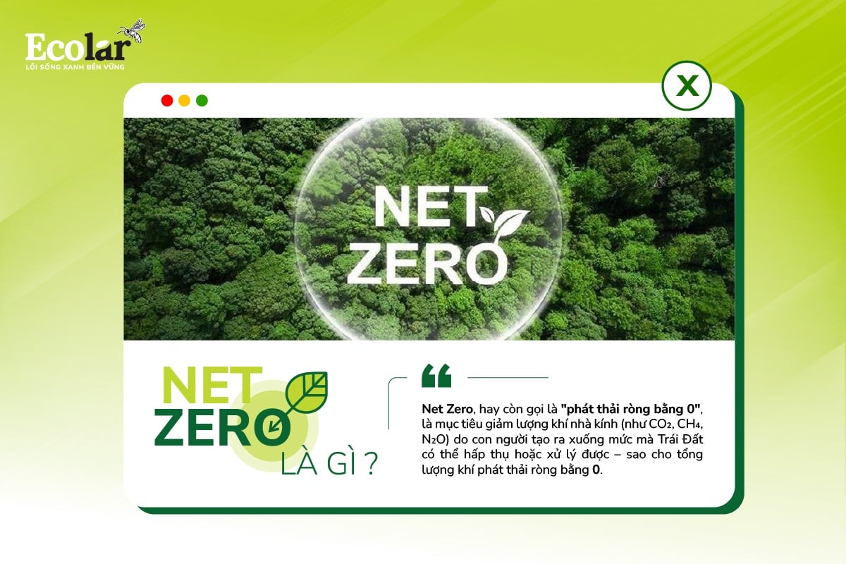 Net Zero là gì?