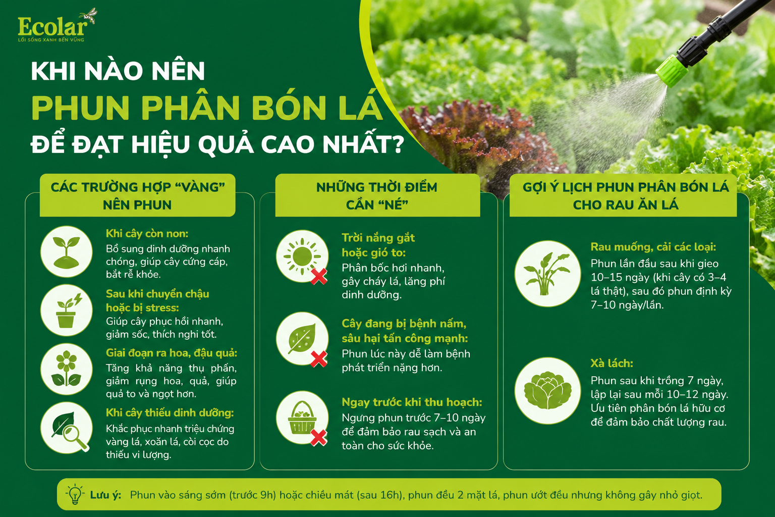 Hướng Dẫn Phun Phân Bón Lá Đúng Chuẩn 5 Bước Cho Người Mới Bắt Đầu