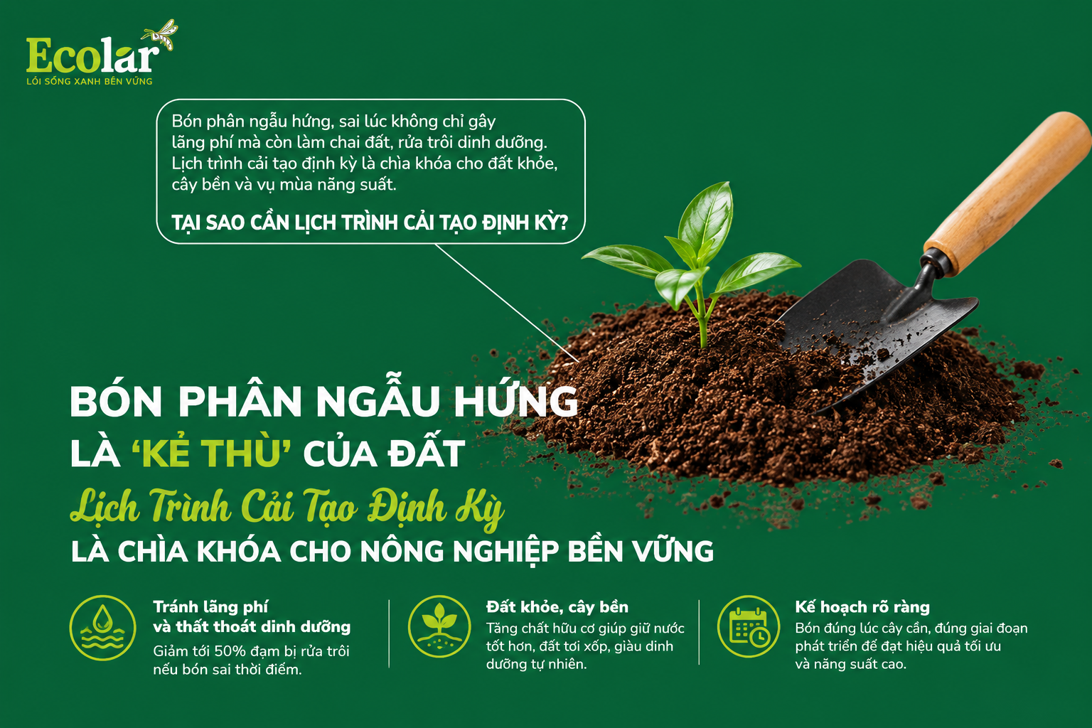 Tại Sao Bón Phân Ngẫu Hứng Là 'Kẻ Thù' Của Đất? Tầm Quan Trọng Của Một Lịch Trình Cải Tạo Định Kỳ