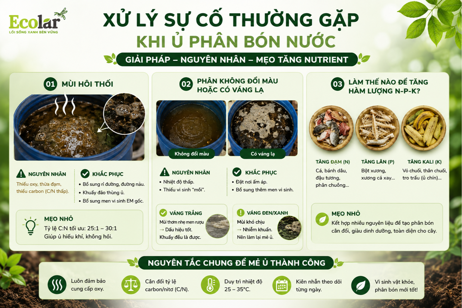 Bước 4: 'Bón' Vàng Lỏng - Hướng Dẫn Sử Dụng Phân Bón Nước Hiệu Quả