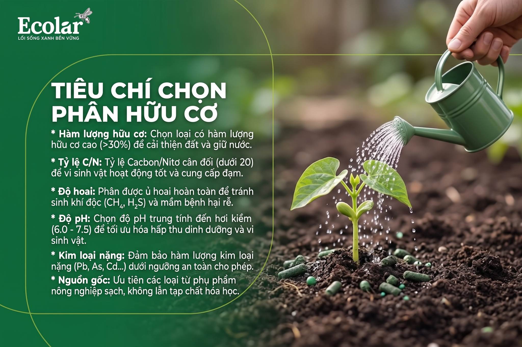 Tiêu chí chọn phân hữu cơ cho mục tiêu phục hồi đất (những gì cần chú ý, không nêu loại cụ thể)