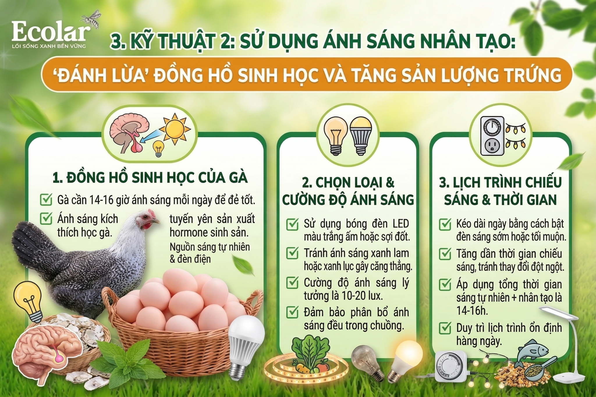 Sử dụng ánh sáng nhân tạo để 'đánh lừa' đồng hồ sinh học