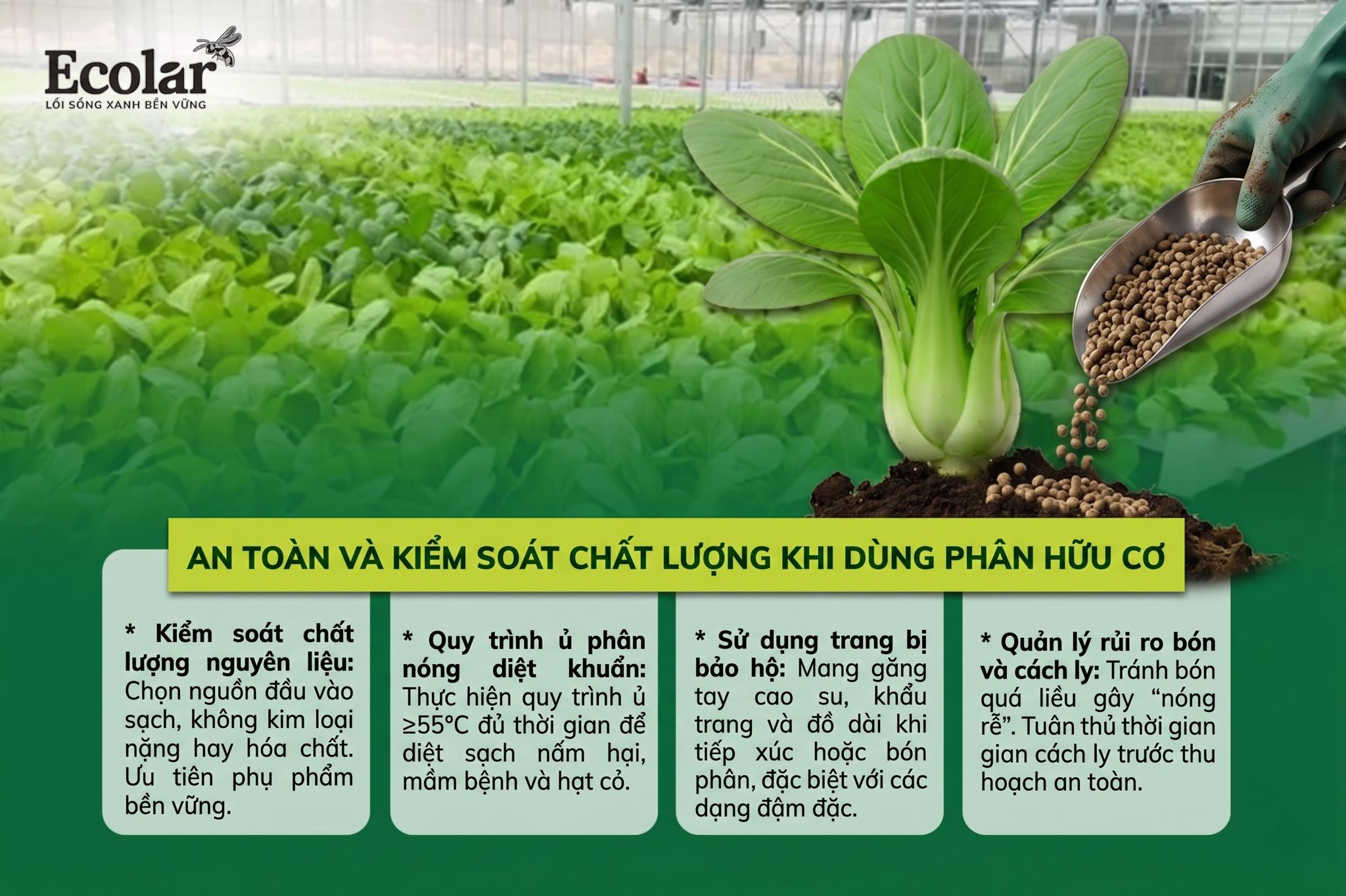 An toàn, rủi ro và kiểm soát chất lượng: Những điều cần biết trước khi dùng