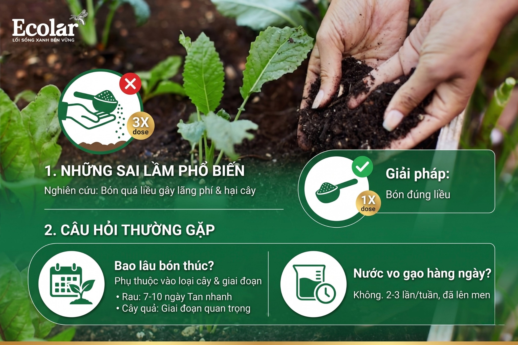 Lưu Ý Quan Trọng & Những Sai Lầm 'Chết Người' Cần Tránh'