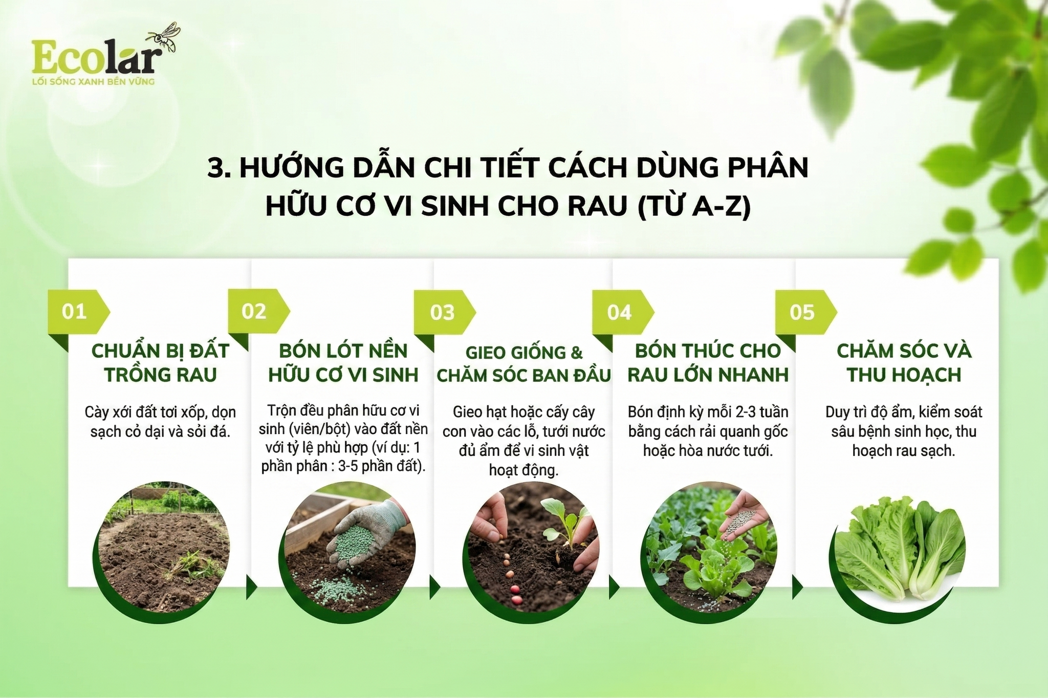 Hướng Dẫn Chi Tiết Cách Dùng Phân Hữu Cơ Vi Sinh Cho Rau (Từ A-Z)