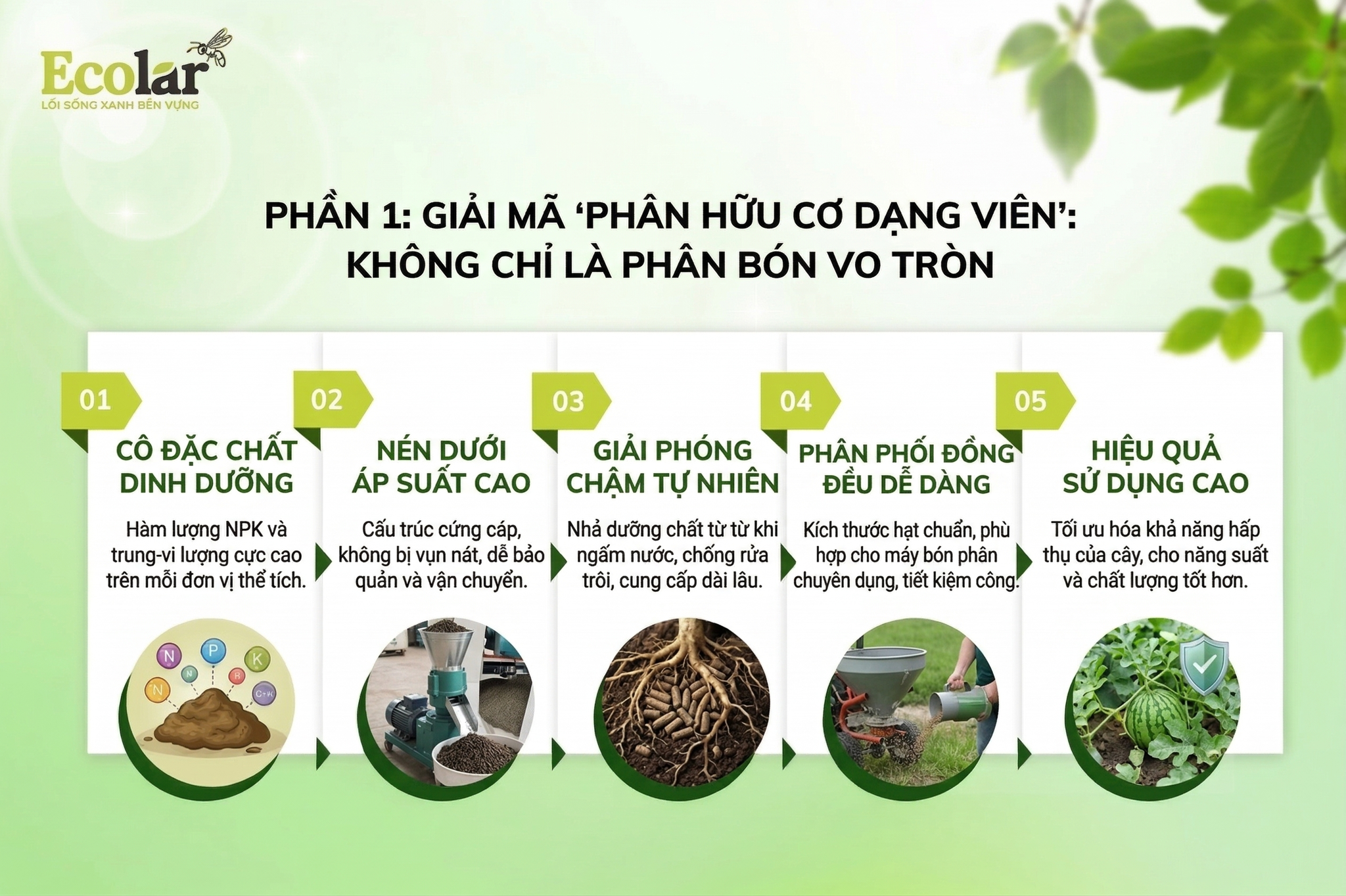 Giải Mã 'Phân Hữu Cơ Dạng Viên': Không Chỉ Là Phân Bón Vo Tròn
