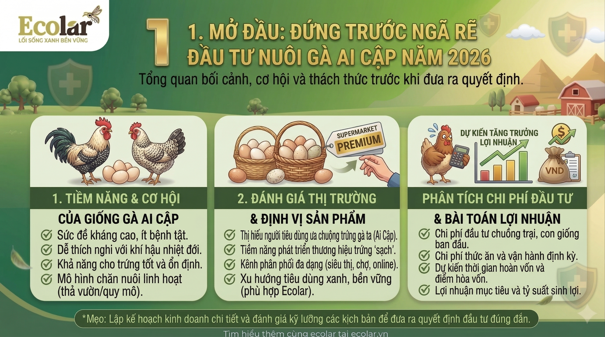 Đứng Trước Ngã Rẽ Đầu Tư Nuôi Gà Ai Cập Năm 2026
