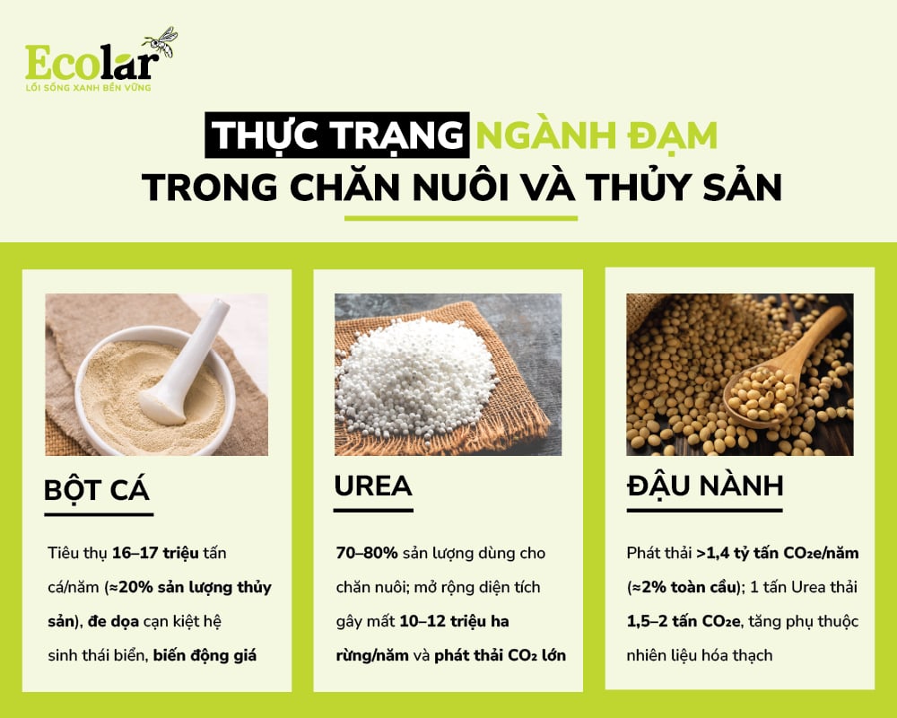 thuc-trang-nganh-dam-trong-chan-nuoi-va-thuy-san