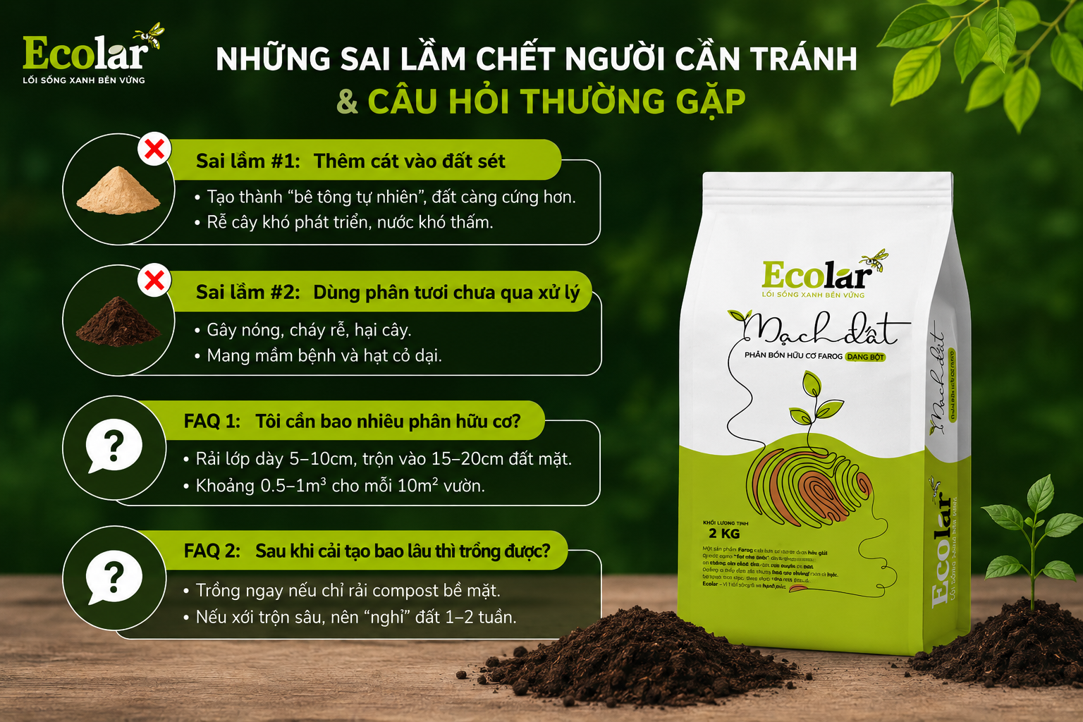 Những Sai Lầm Chết Người Cần Tránh & Câu Hỏi Thường Gặp