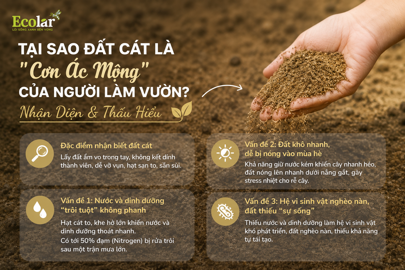 Tại Sao Đất Cát Là 'Cơn Ác Mộng' Của Người Làm Vườn? Nhận Diện & Thấu Hiểu