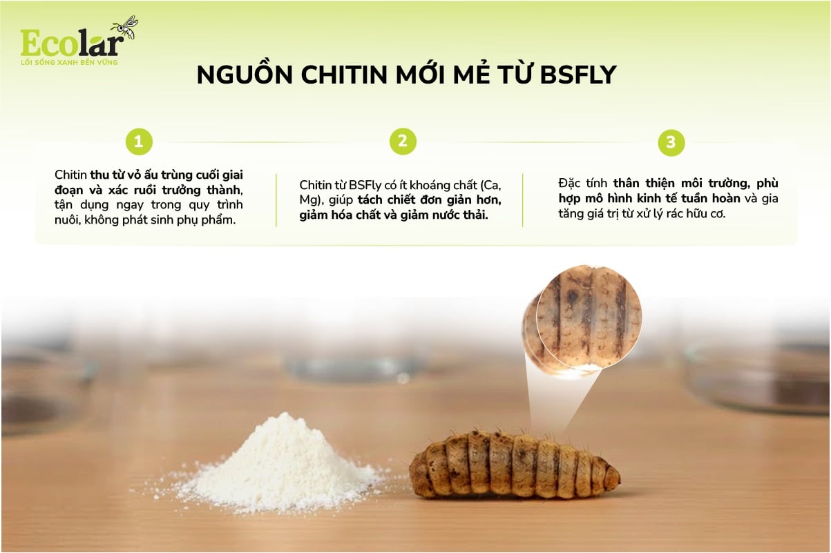 nguồn chitin mới mẻ