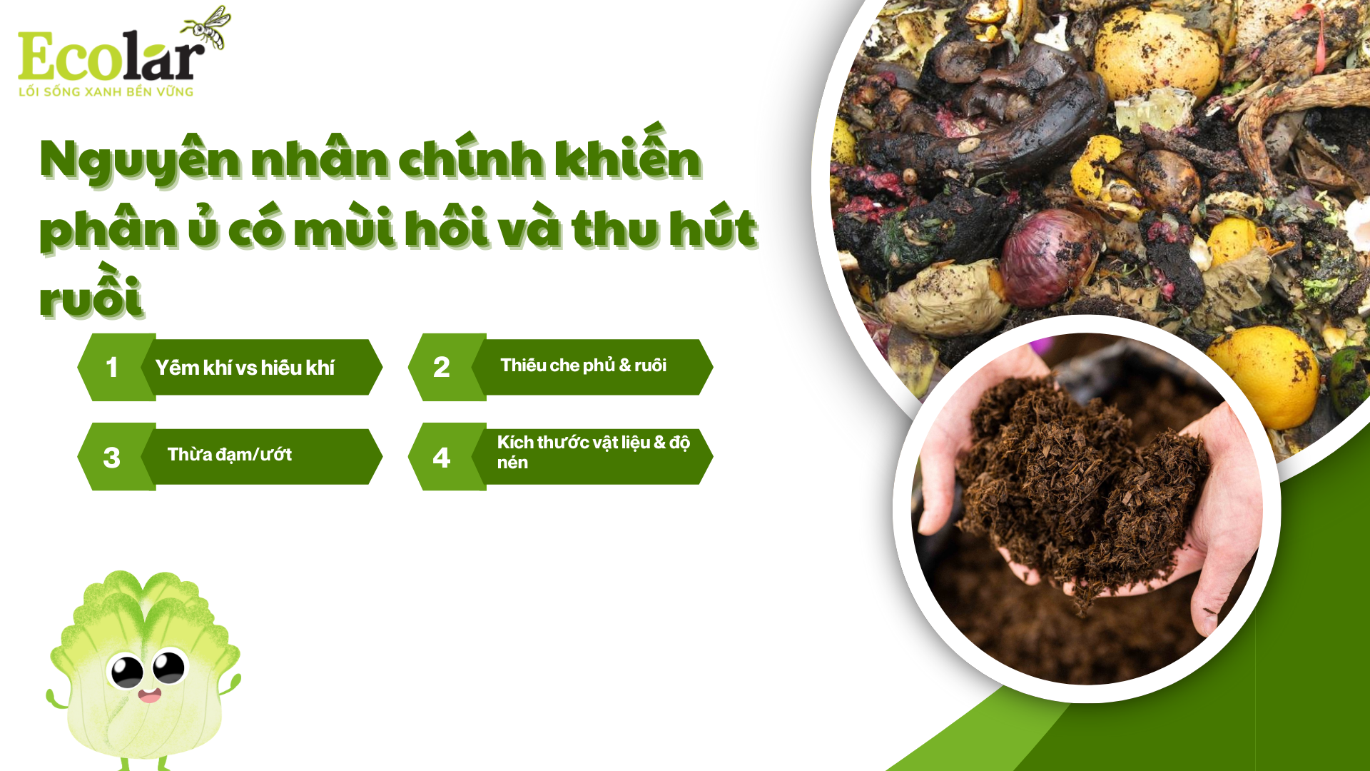 2-nguyen-nhan-chinh-khien-phan-u-co-mui