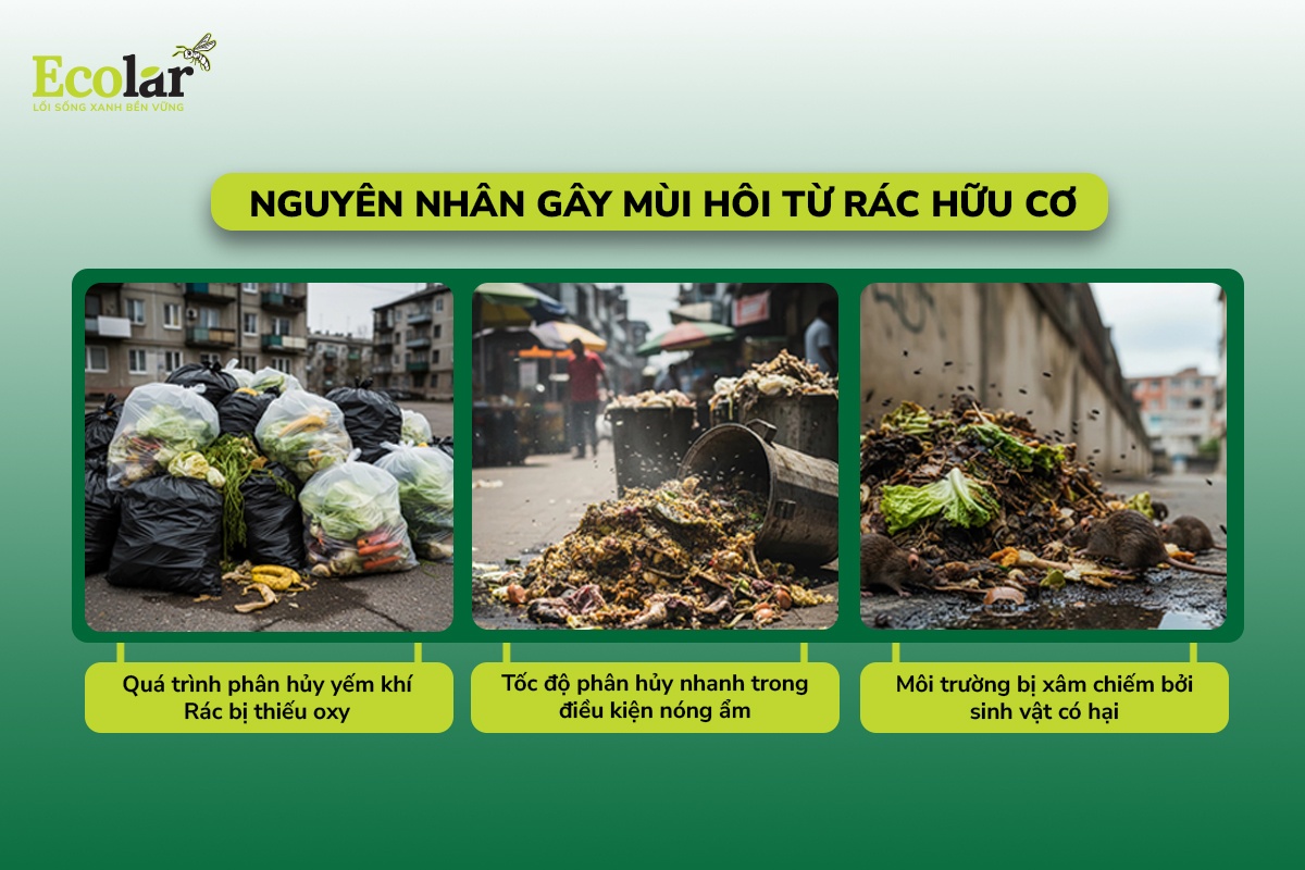 nguyên nhân gây mùi hôi từ rác