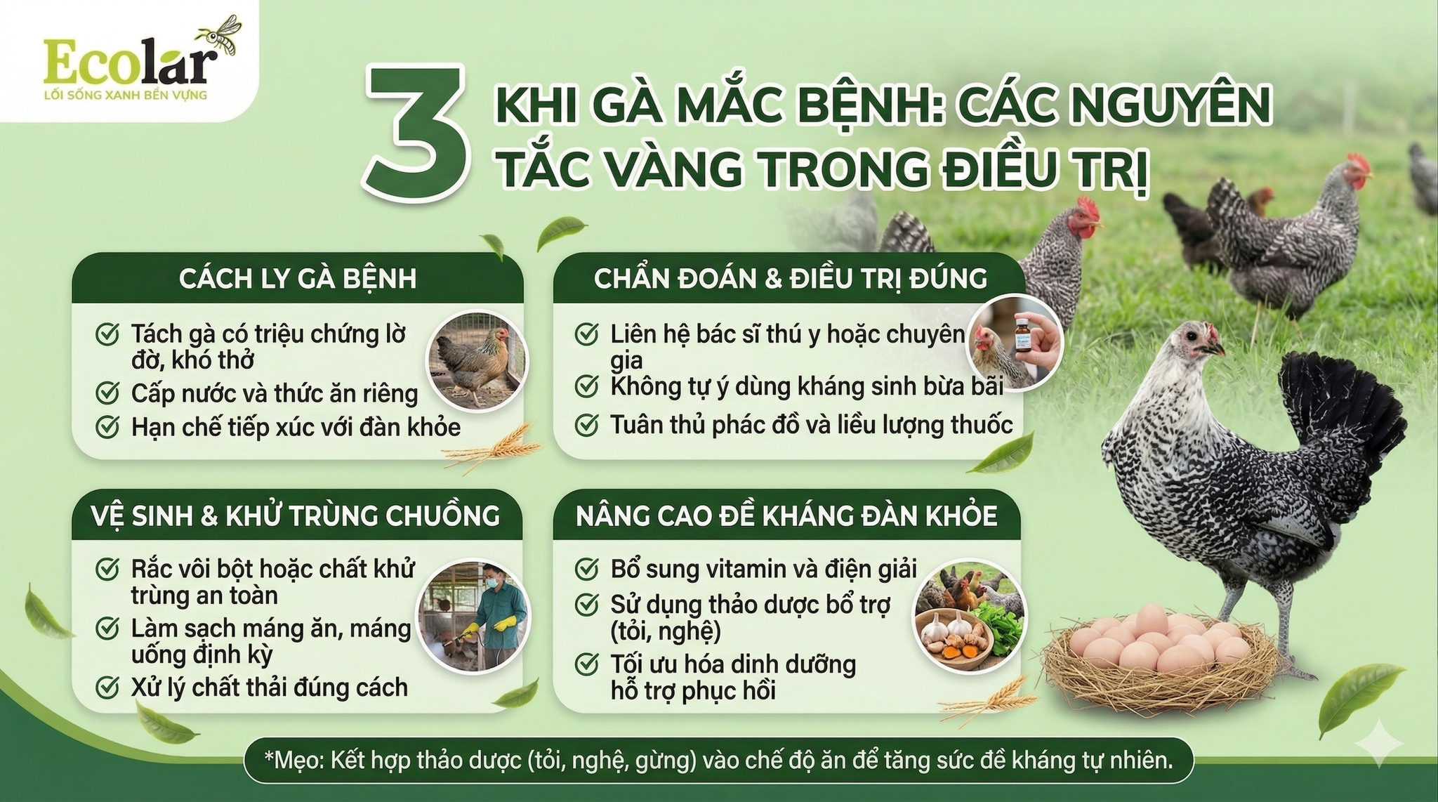 nh-cac-nguyen-tac-vang-trong-dieu-tri_f93505ed811e419f8d9d5e1de360924f.png