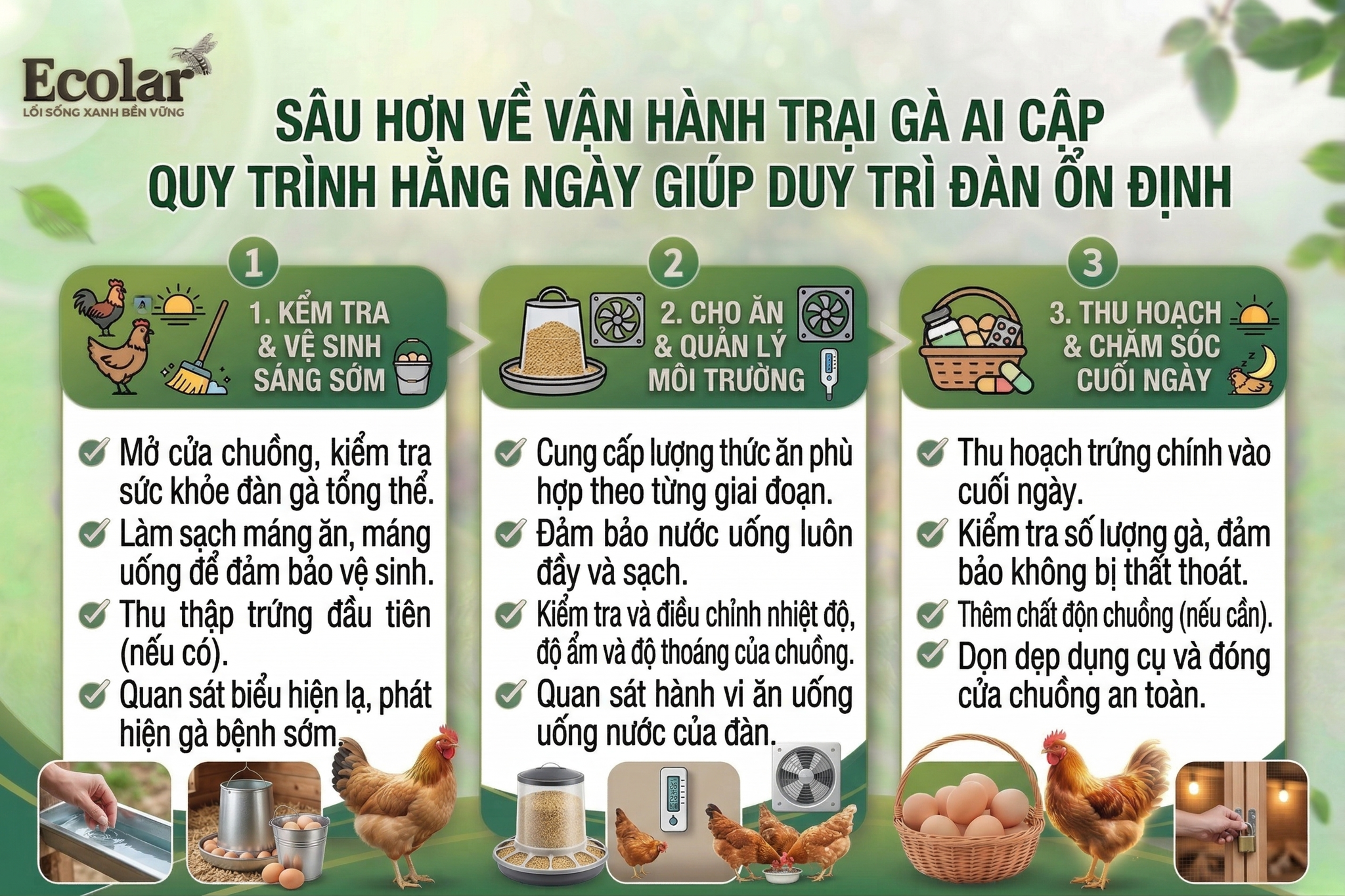 Quy Trình Hằng Ngày Giúp Duy Trì Đàn Ổn Định