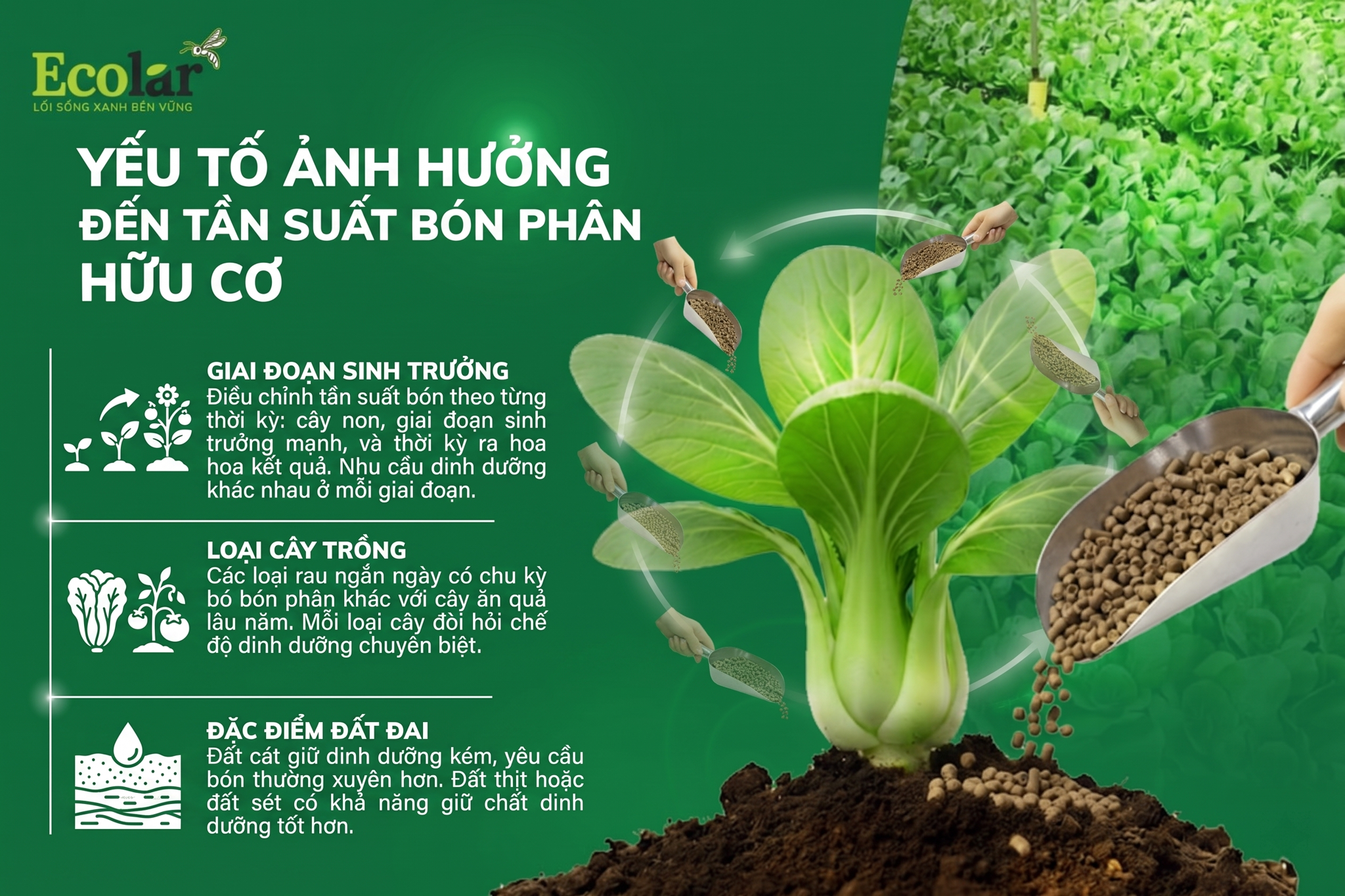 Những yếu tố ảnh hưởng đến tần suất bón phân hữu cơ