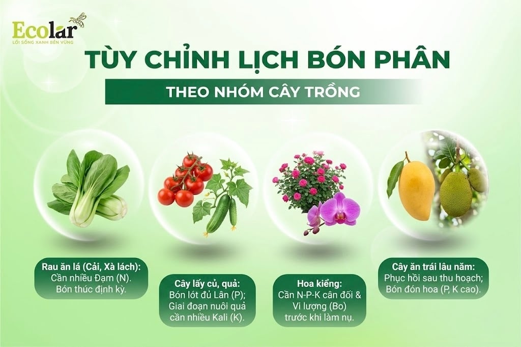 Không Phải Cây Nào Cũng Giống Nhau: Tùy Chỉnh Lịch Bón Phân Theo Nhóm Cây Trồng