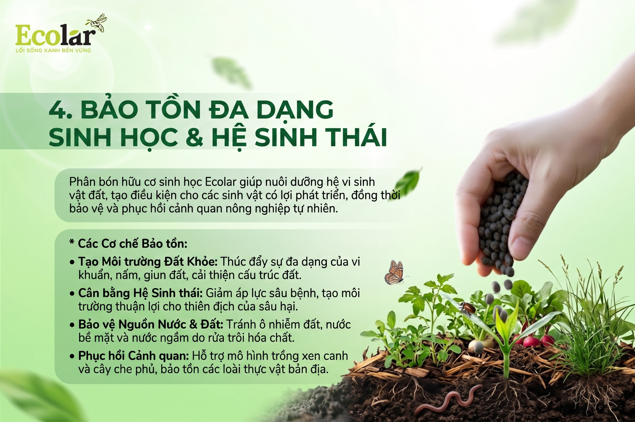 Bảo tồn đa dạng sinh học cảnh quan và hệ sinh thái vùng canh tác