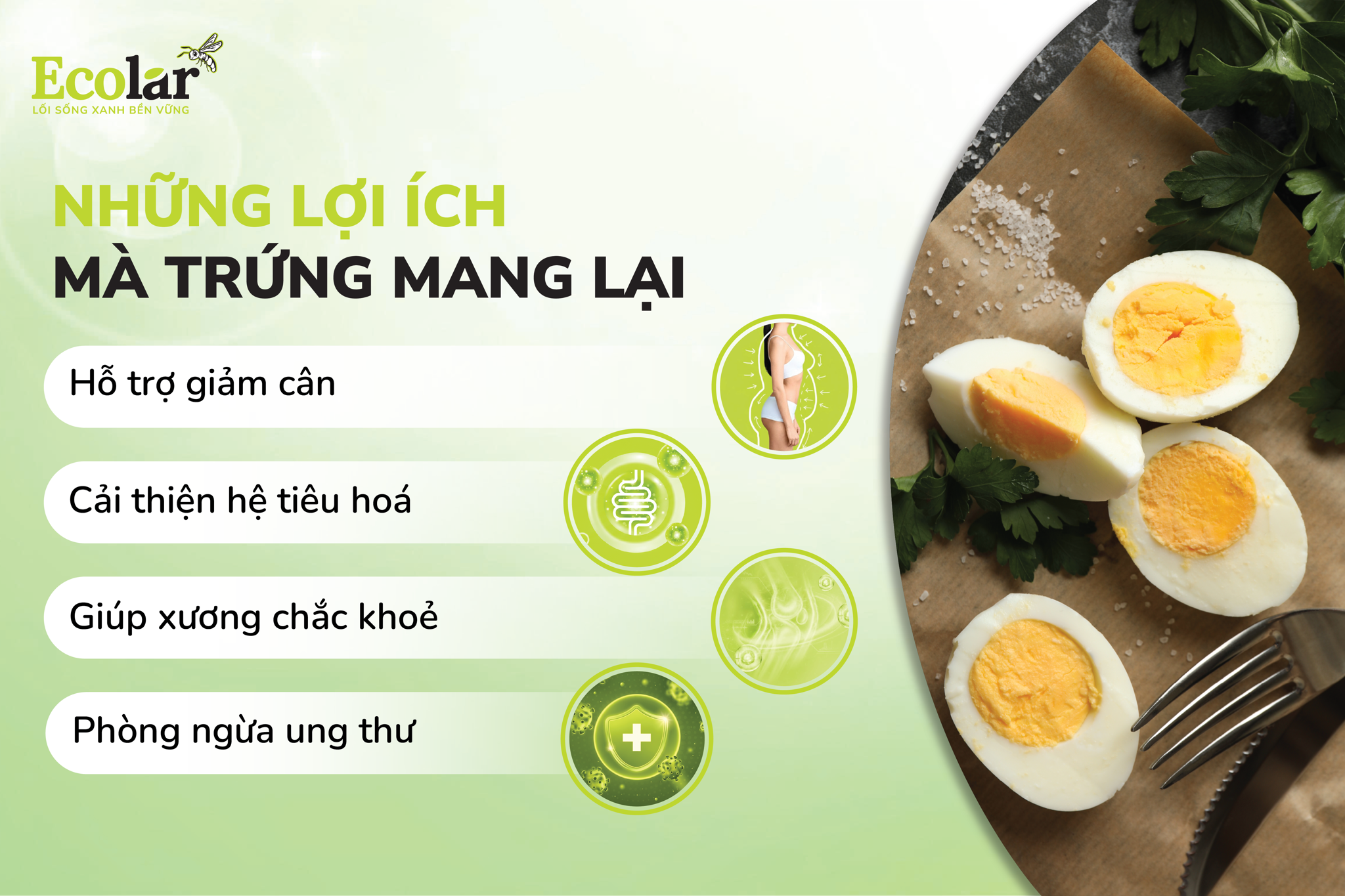 Những lợi ích mà trứng mang lại