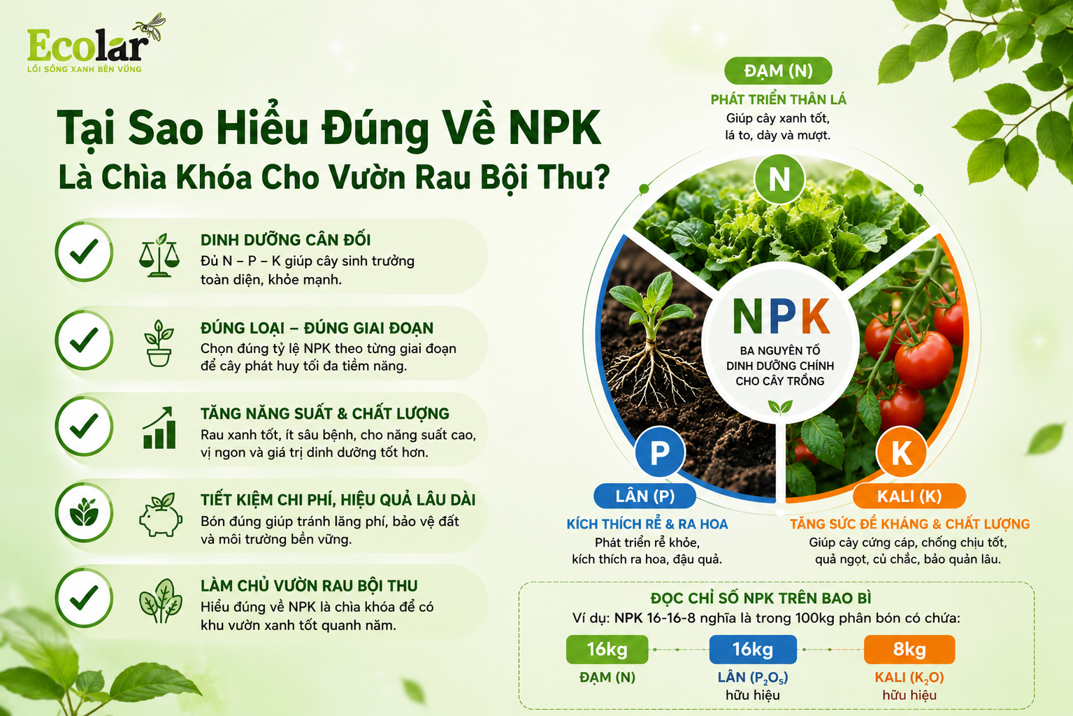 Tại Sao Hiểu Đúng Về NPK Là Chìa Khóa Cho Vườn Rau Bội Thu?