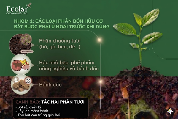 NHÓM 1: Các Loại Phân Bón Hữu Cơ BẮT BUỘC Phải Ủ Hoai Trước Khi Dùng