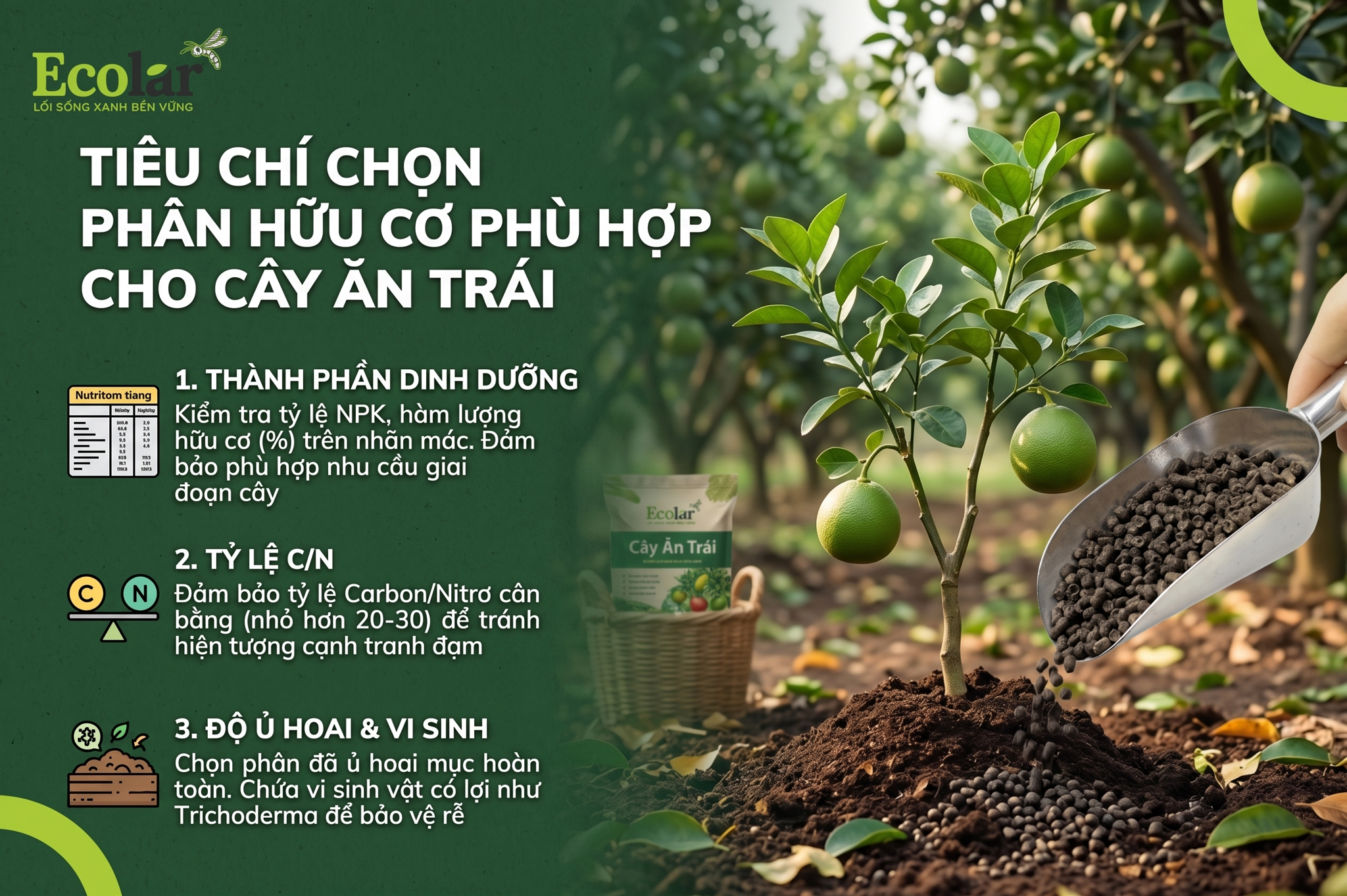 Tiêu chí chọn phân hữu cơ phù hợp cho cây ăn trái (những điểm cần kiểm tra)