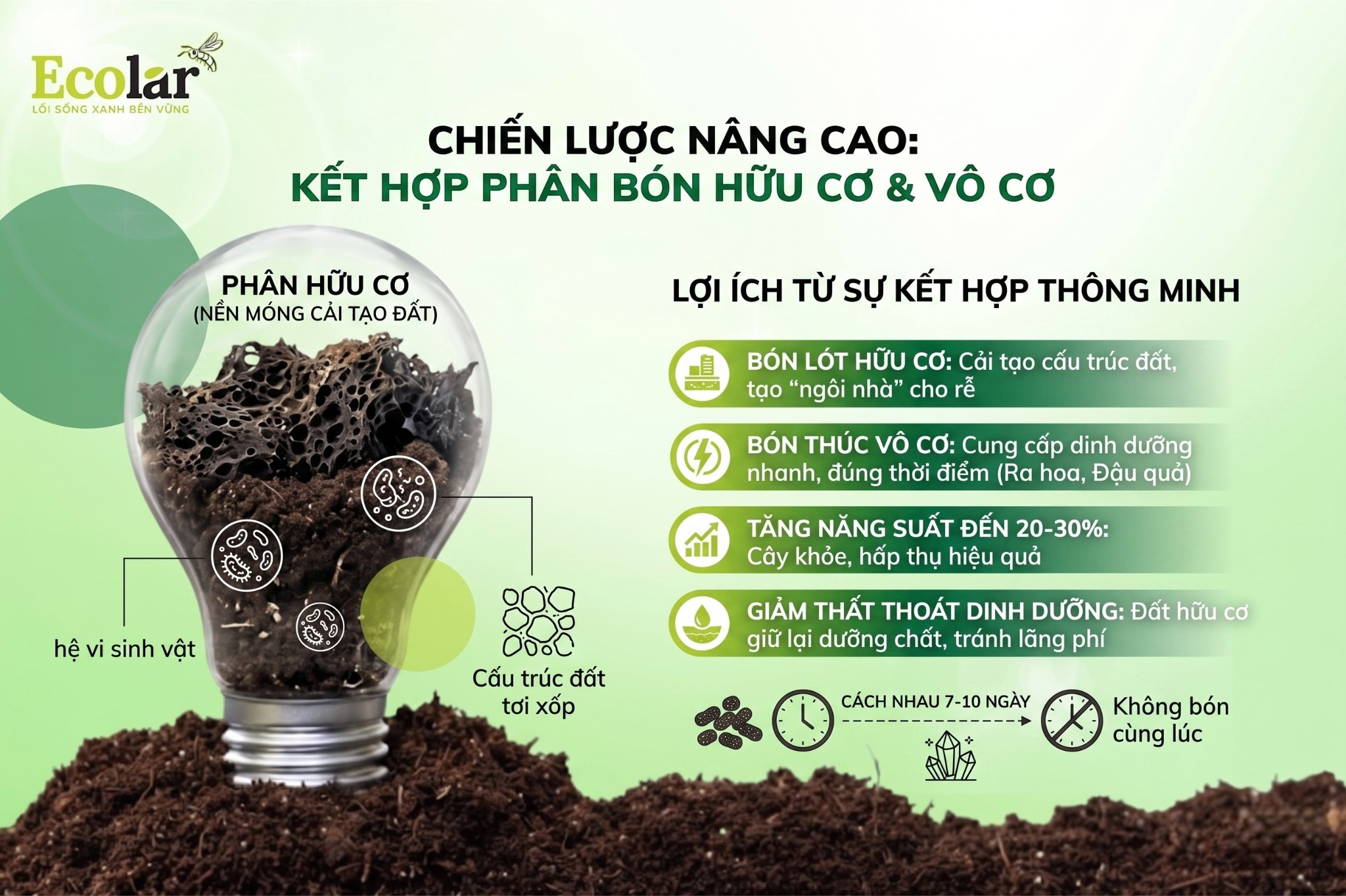 Chiến Lược Nâng Cao: Có Nên Kết Hợp Cả Hai Loại Phân Bón?