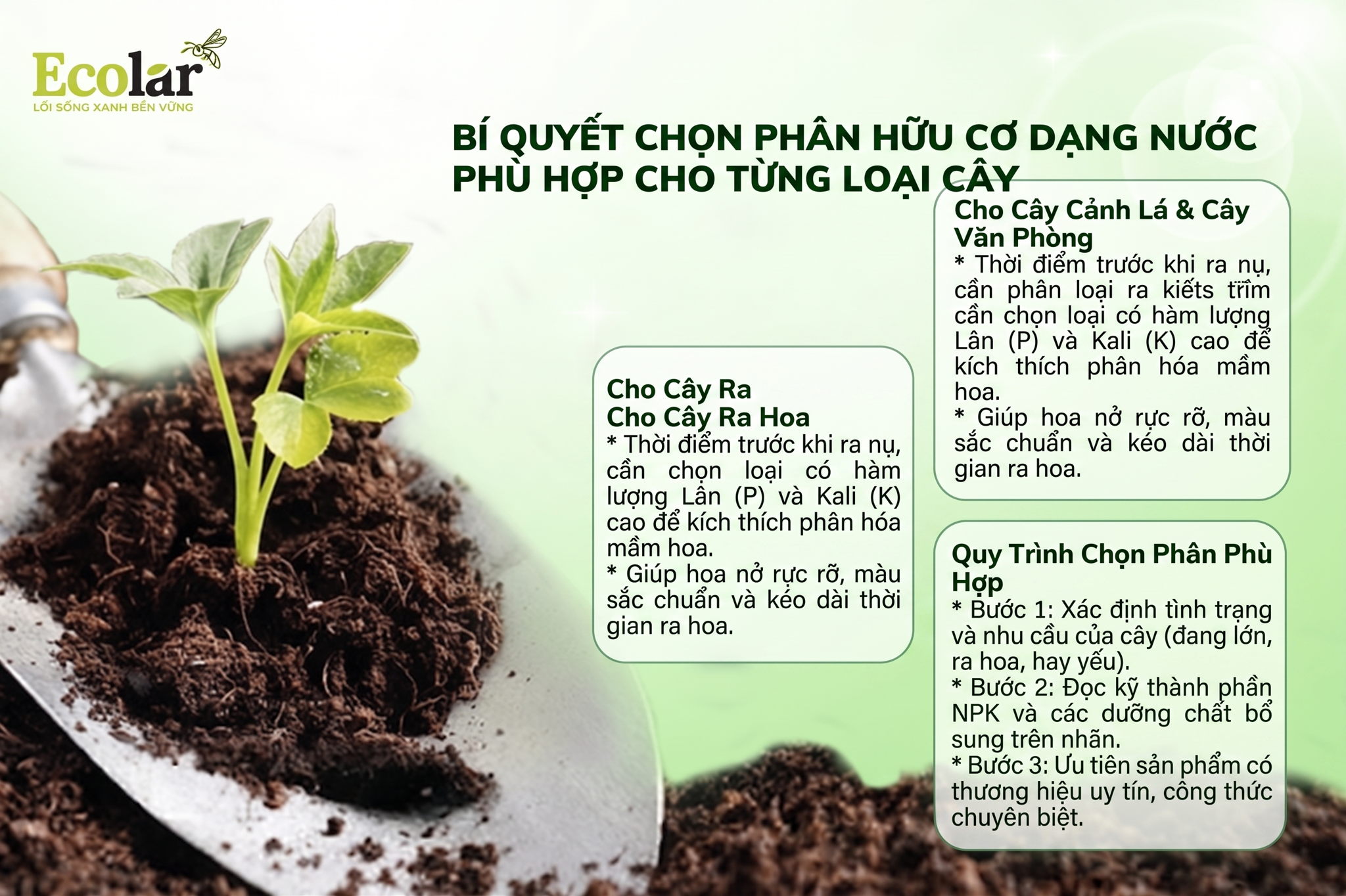 Bí Quyết Chọn Phân Hữu Cơ Dạng Nước Phù Hợp Cho Từng Loại Cây