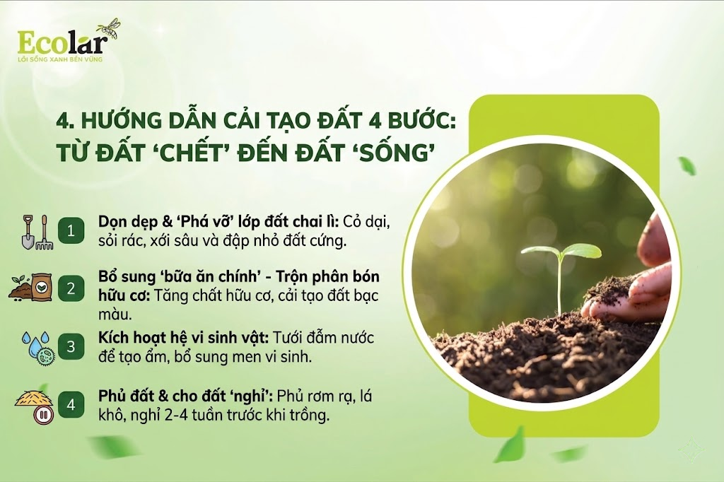Hướng Dẫn Cải Tạo Đất 4 Bước: Từ Đất 'Chết' Đến Đất 'Sống'